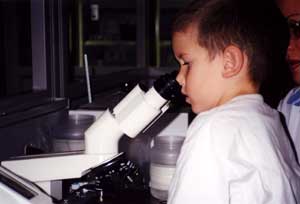 The children looked at blood samples through a microscope.